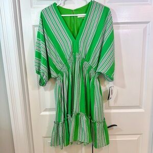 NWT Taylor Smocked Waist Stripe Print Fit and Flare Dress Green